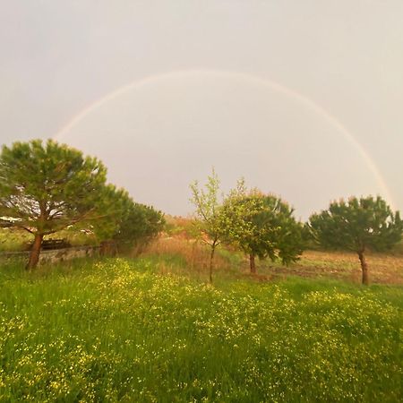 Vapori Otel Bozcaada Esterno foto